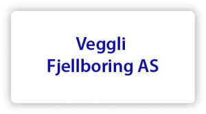 veggli fjellboring as